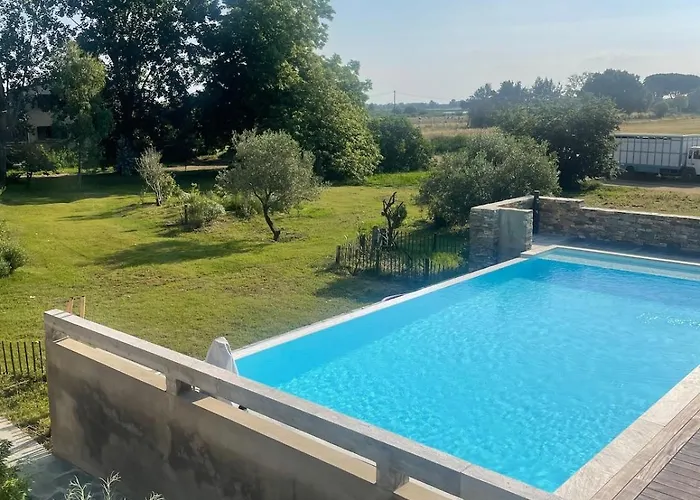 Joli T1 A Ne Pas Manquer * Borgo (Corsica)